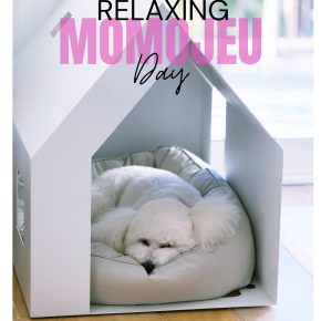 ★今年もモモチャージして元気に始動します