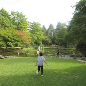 記憶を塗り替えるのは、人間の常？