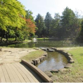 ウォーキング時に気を付けていること