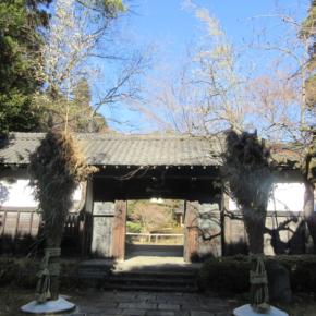 正月関連、そしてカワセミ発見