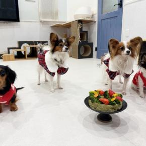 賑やかだったクリスマス会