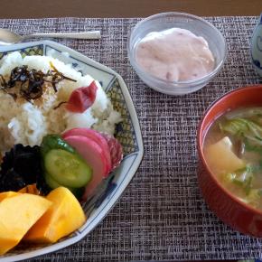 住宅事情 移民政策 朝御飯 買い物