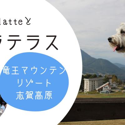 絶景のSORA terrace（ソラテラス）へ！ゴンドラやドッグラン、焚き火を満喫