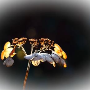 2025年 今年も1年間有難うございました 🥰 新しい年も どうぞよろしくお願い申し上げます 🐎✨
