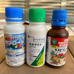 ドライアイ＆眼精疲労