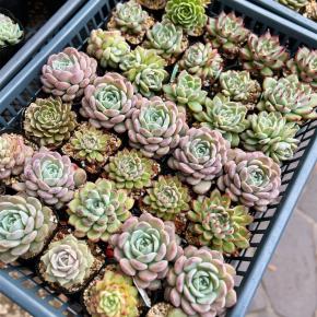 雨の日にやらかしたこと