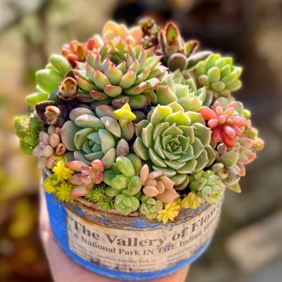 貴重な休日を有効に／筋肉痛