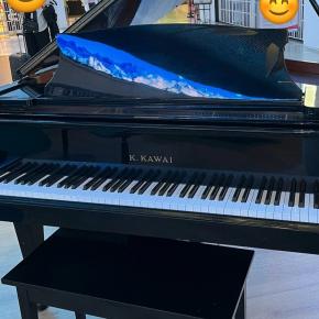 アラカン、ストピデヴュー、あれから1年、、②