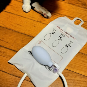 猫リンパ腫｜皮下点滴のはじまり