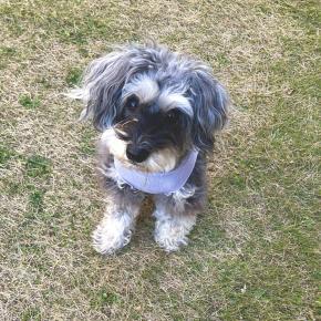 2026年！あけましておめでとうございます