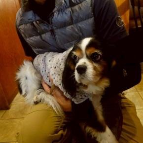 わん友さん達との忘年会①@ベリーチェ