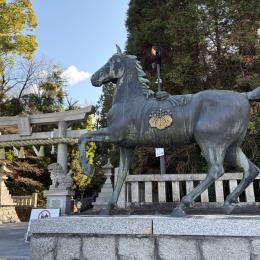 午年は努力や挑戦が実を結びやすい年