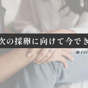 採卵に向けて今できること｜卵子の質を守るための工夫
