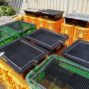 ●メダカもスタッフも“目が命”！？10月10日は目の愛護デーでした！