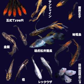 ●年末年始の休業のお知らせ