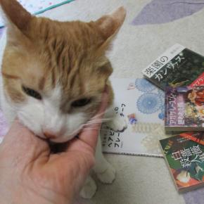 今年もありがとうございました