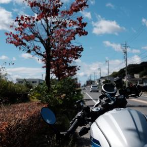 連休の〆は雨上がりのバイク昼散歩で