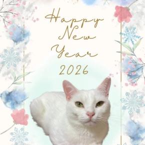 新春ルノルマン金運三択占い