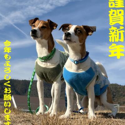 あけましておめでとうございます