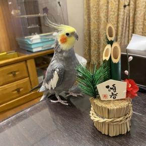 新年のご挨拶！！