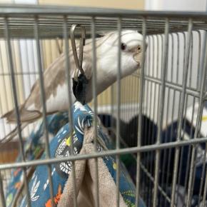 生きるってすごい