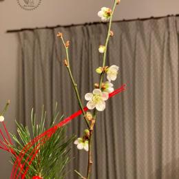 明けましておめでとうございます