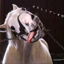 2026/01/01 元旦 :-)