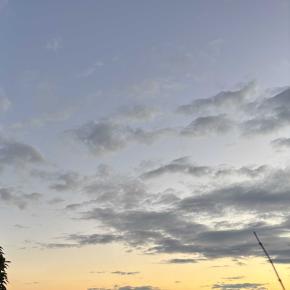 最近、いつもお腹が空いている気がする。太る！