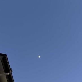 大晦日イブ。3日連続アルコール飲んでます。大掃除は完了！