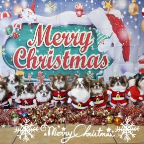 2025年クリスマス🎄