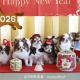 2025年元旦🎍🎌㊗️