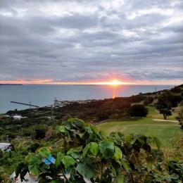 今年もきっと良い年になる・・、じゃなくて良い年にする！