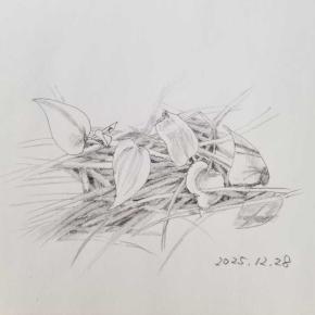 冬のつかの間の暖かさがありがたいです。