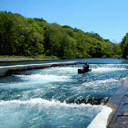 楽しかった思い出