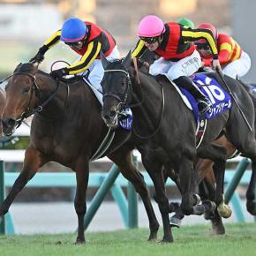 【予想】 第70回 有馬記念 G1