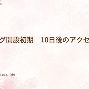 ブログ開設初期 10日後のアクセス数