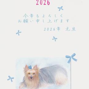 あけましておめでとうございます