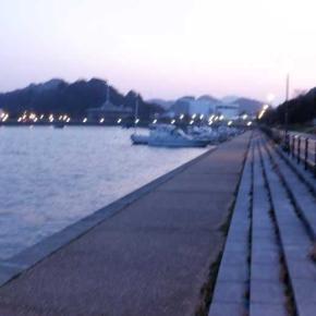 アジのサイズ記録更新