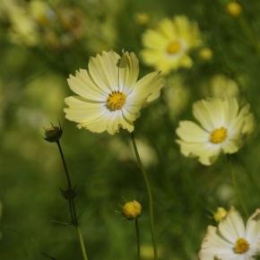 楽しみは食事とメールを打つこと