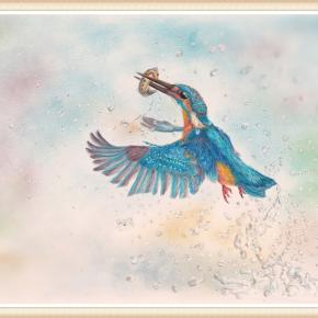 色鉛筆でカワセミ