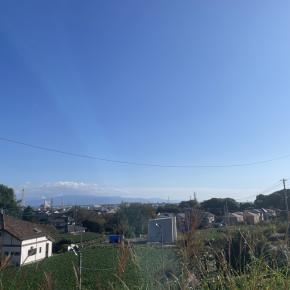 コタツを出しました