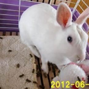 8月9日 おじじ 自転車に乗るのを諦めたようだけど心配事が尽きない