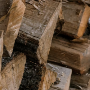 焚き火が劇的に変わる！薪の「針葉樹」と「広葉樹」の違いと最強の使い分け術【初心者必見】