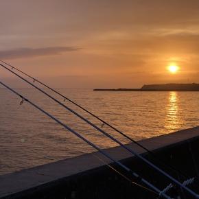 穏やかな2026年になるといいですね・・