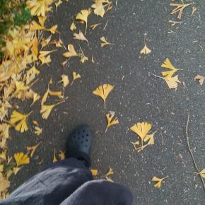 「もう十分生きた」と感じる瞬間は本当に訪れるのか。静かな問いとの向き合い方