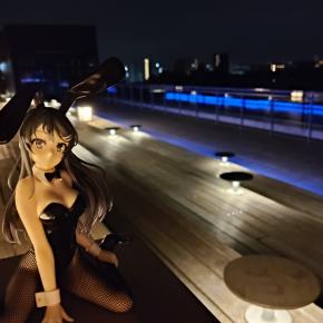 秋だ！十五夜だ！！バニーガール先輩だ！！！【フィギュア撮影＆レビュー】