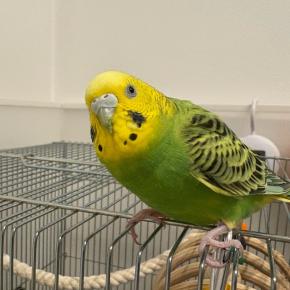 選べない…どんどん増えていく写真。