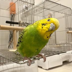 〜2025年お気に入り写真総集編①