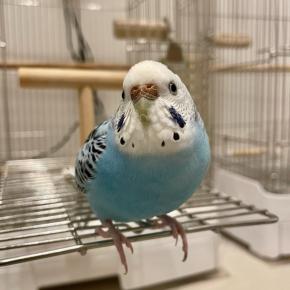 〜2025年お気に入り写真総集編②