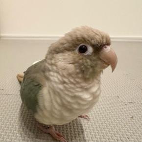 〜2025年お気に入り写真総集編⑤